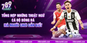 Tổng hợp những thuật ngữ cá độ bóng đá mà người chơi cần biết